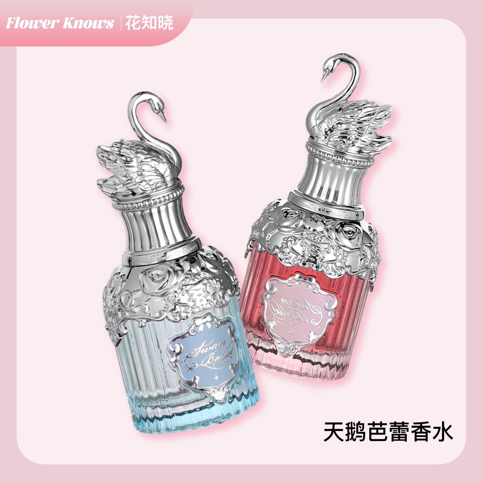 花知晓香水天鹅芭蕾木质柑橘