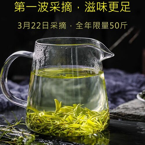 2026新茶碧螺春特级一等精品