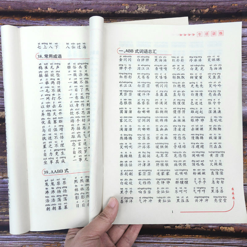 成语+叠词小学阶段全国语文小学包邮