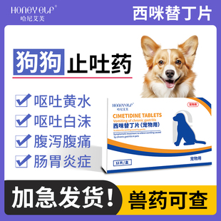 猫咪止吐药呕吐药狗狗肠胃炎症吐黄水白沫干呕腹泻舒缓肠胃