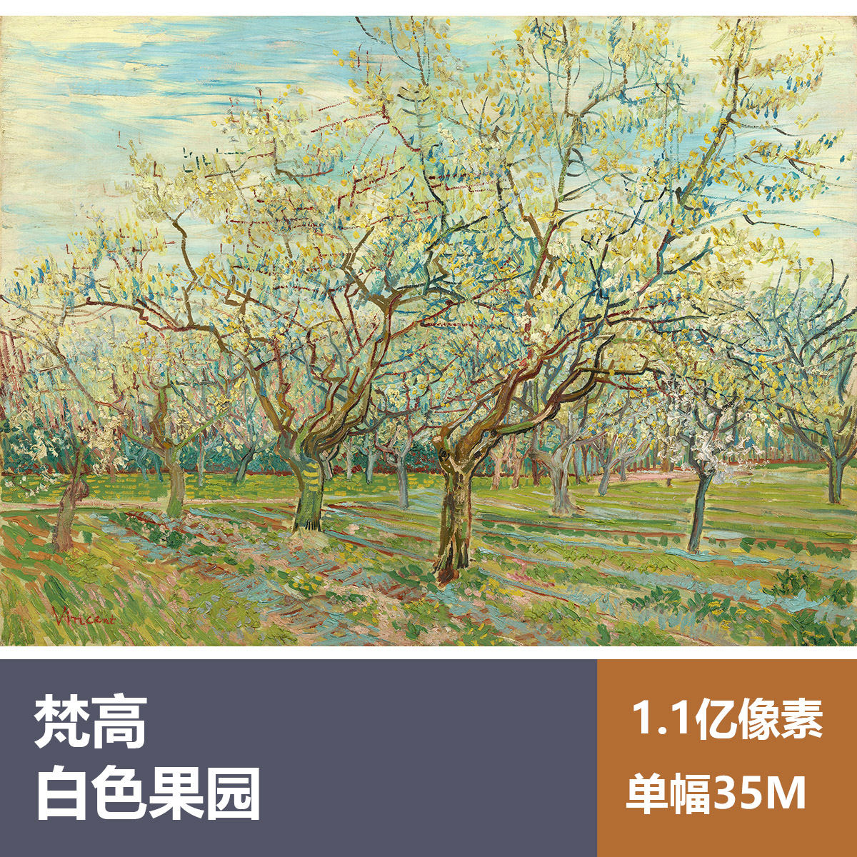 白色果园梵高高清油画原版作品装饰画喷绘图片素材