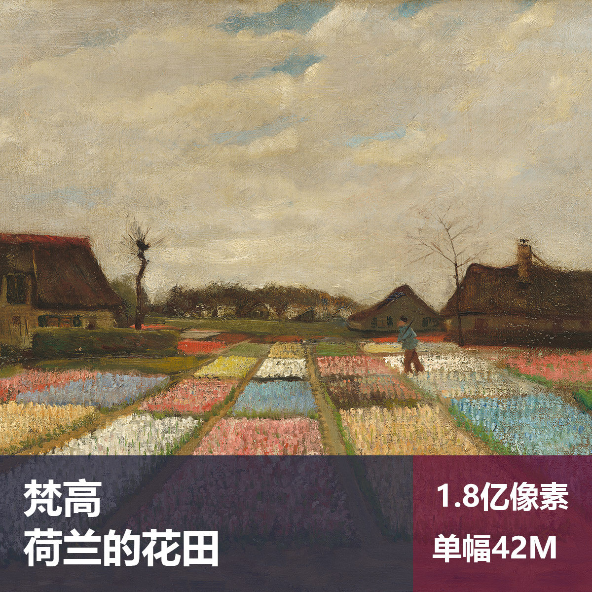 荷兰的花田梵高高清油画原版作品装饰画喷绘图片素材
