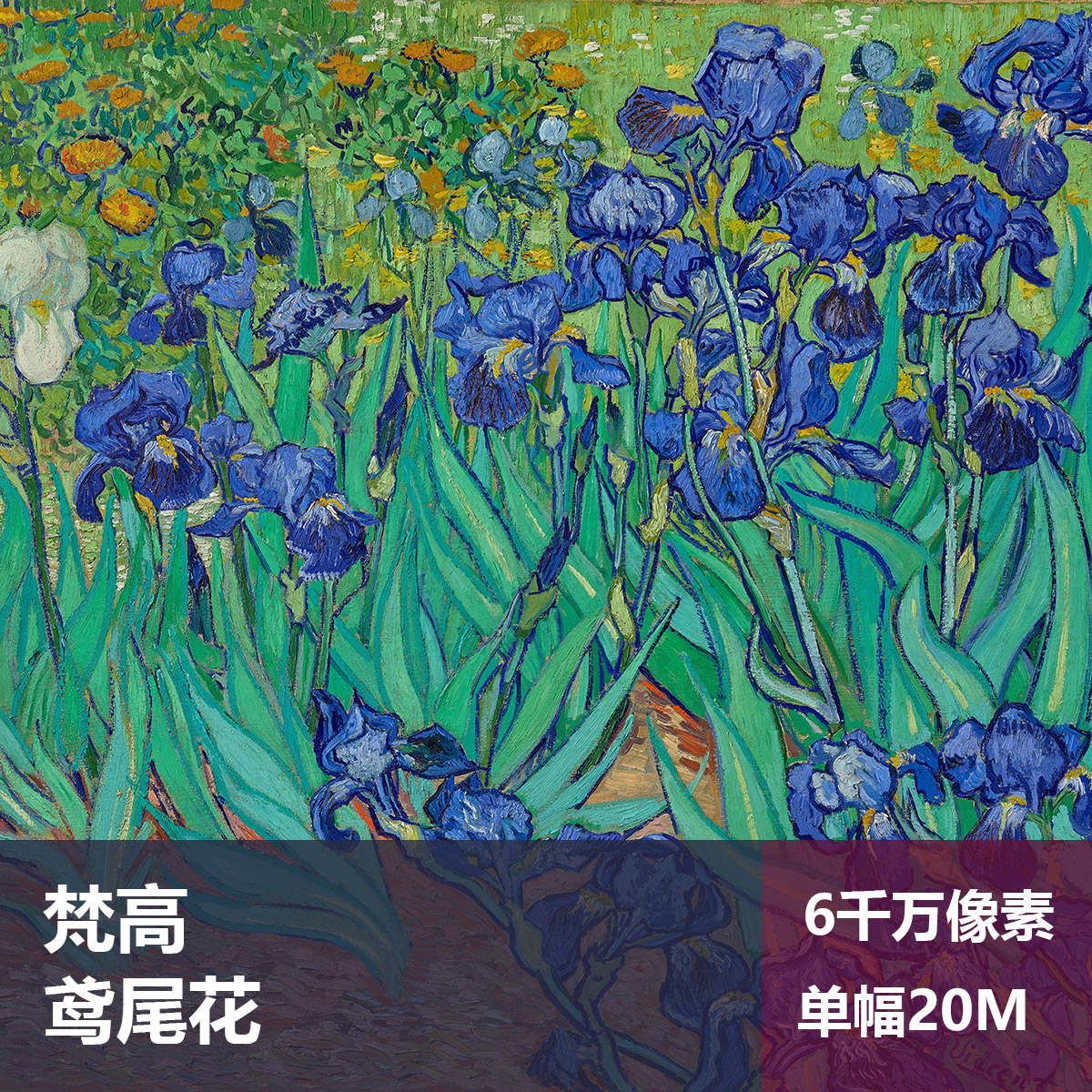 鸢尾花梵高高清油画原版作品装饰画喷绘图片素材