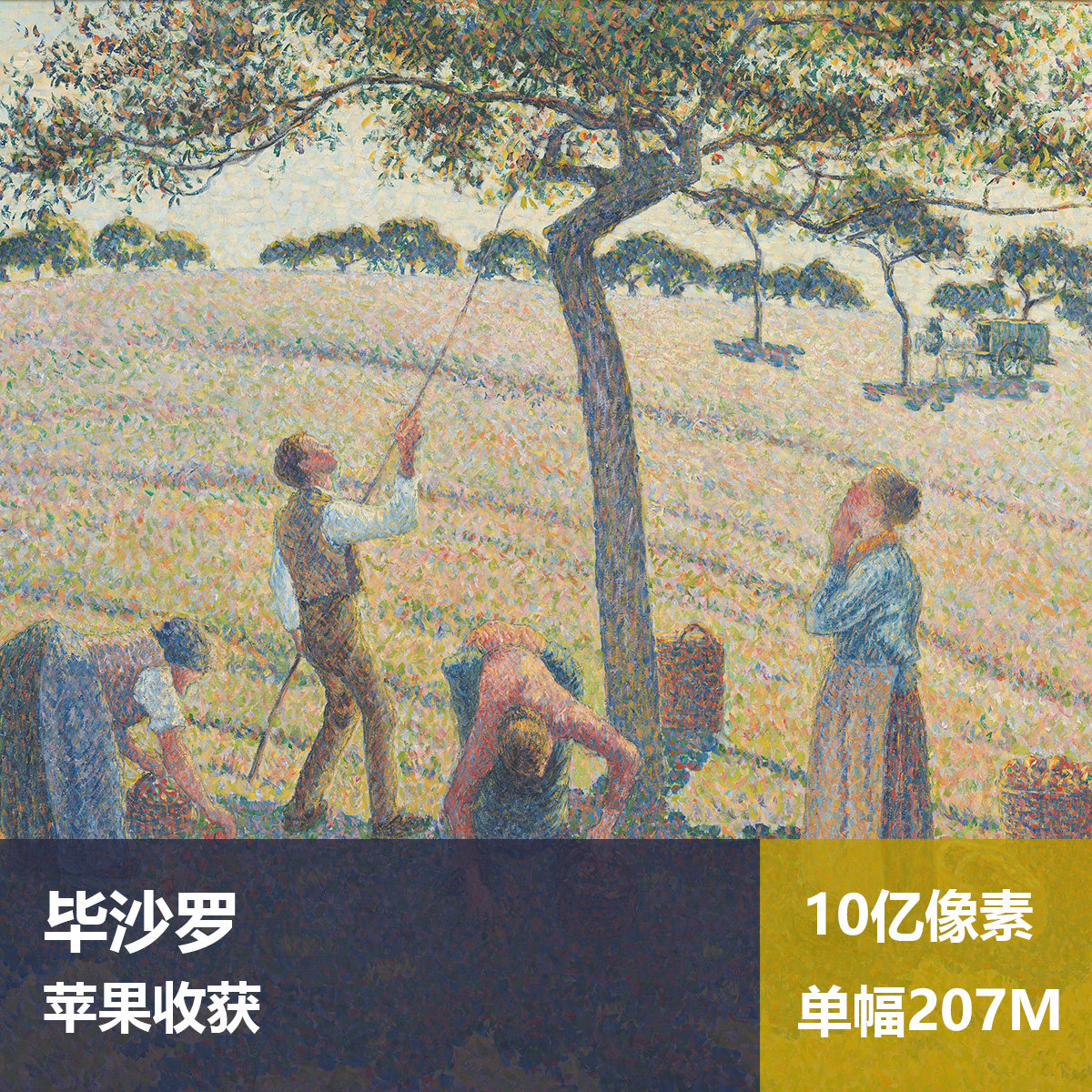 苹果收获毕沙罗高清油画原版作品喷绘装饰画图片素材