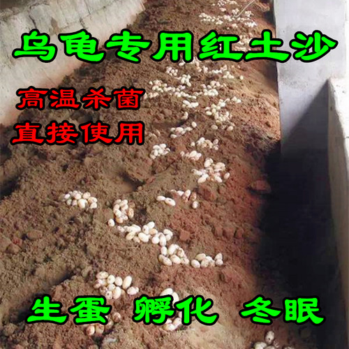 乌龟专用红土沙无菌天然生蛋产蛋孵化冬眠陆龟水族造景龟箱龟池沙