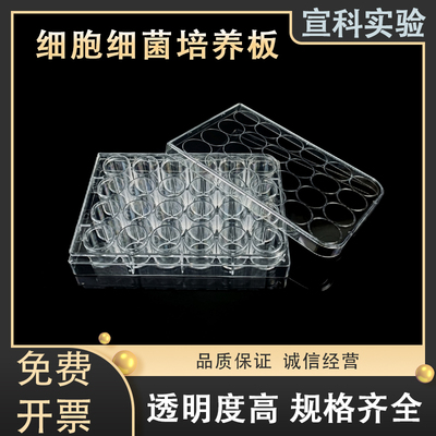 细胞培养板6孔12孔24孔48孔96孔