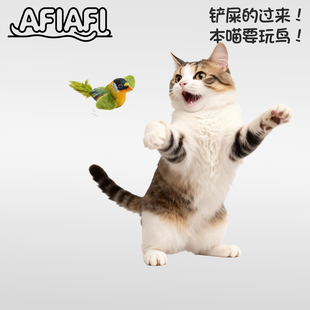 猫咪自嗨玩具 仿真会叫小鸟+猫薄荷 荡秋千弹力羽毛 独处解闷神器