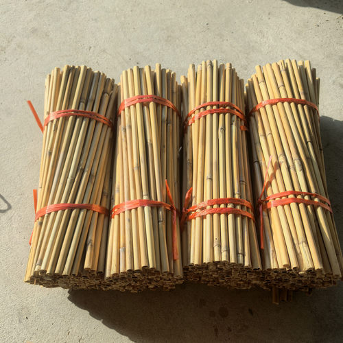 （天然干芦苇杆）DLY幼儿园芦苇枝苇子脱皮长短可定制真芦苇吊顶