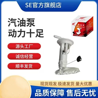 摩托车汽油泵燃油泵总成
