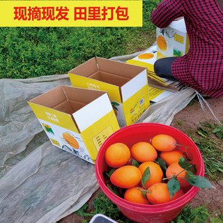 重庆正宗奉节脐橙柑子新鲜5斤包邮当季水果现摘现发甜橙手剥广柑