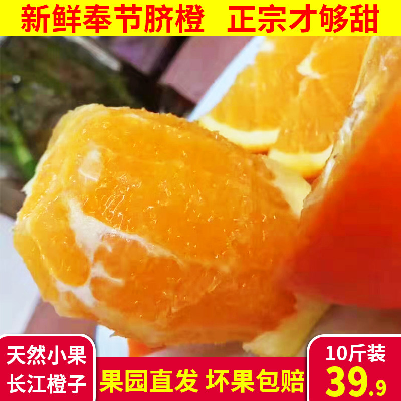 正宗重庆奉节脐橙现摘新鲜橙子带箱10斤应季水果自家种植现摘现发,水产肉类/新鲜蔬果/熟食,橙,淘宝优惠券,粉丝福利购,淘宝优惠卷