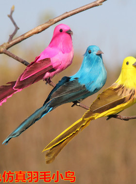 彩色真羽毛泡沫墙面园林小鸟