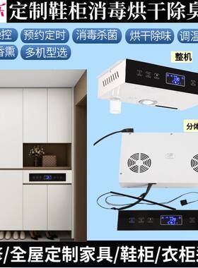 智能鞋柜消毒除臭烘干机定制柜