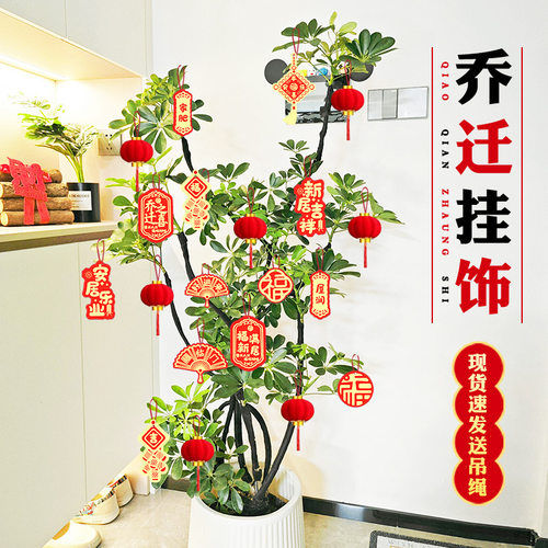乔迁装饰小挂件室内户外盘景树栽