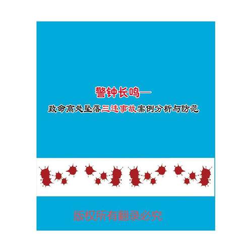 2025年安全月 警钟长鸣-致命高处坠落三违事故案例分析与防范U盘