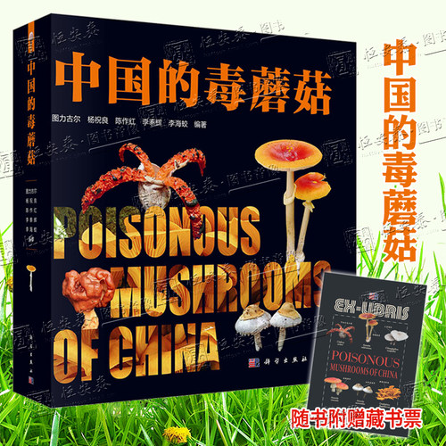 全新正版