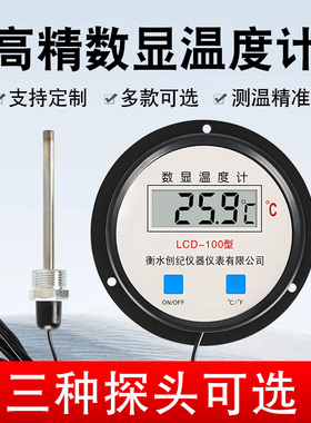 高温工业用锅炉电子数字数显温度计温度表水温表10米带探头测温仪