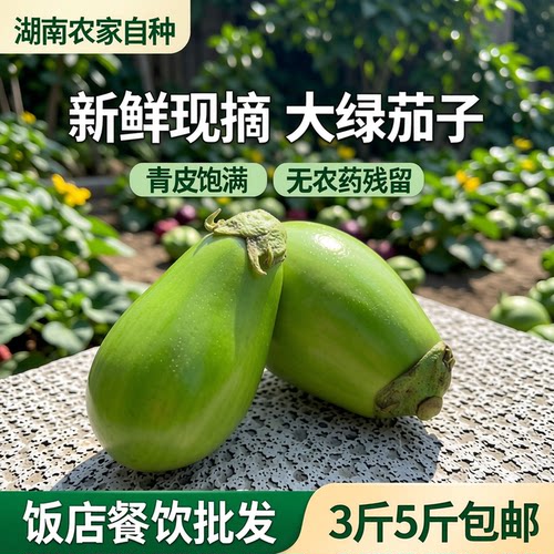 湖南本地大绿茄子青茄子