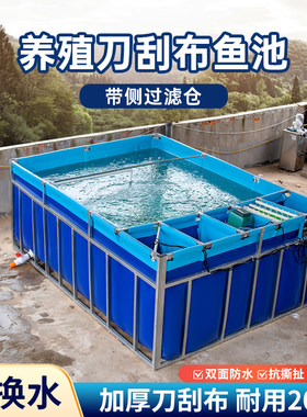 拉皮卡湖南带测过滤养鱼池