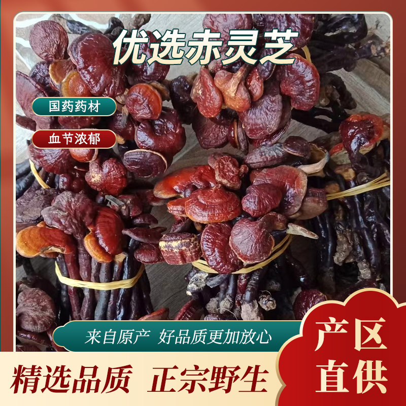 海南赤灵芝王干货天然无硫精选品质健康滋补品仿野生