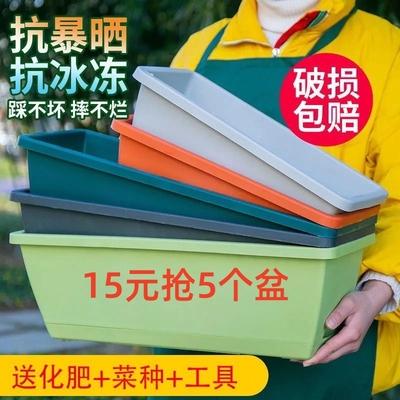 塑料花盆简约15元抢5个盆