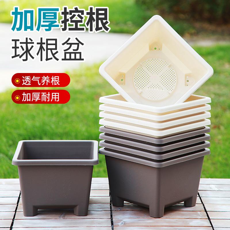 方形球根盆加厚型树脂花盆