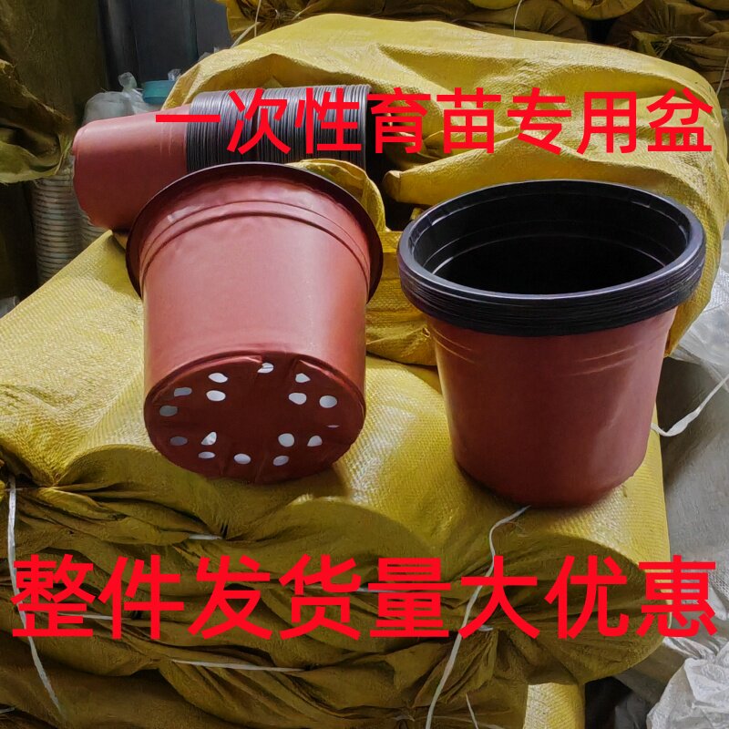 一次性育苗专用花盆软盆薄款