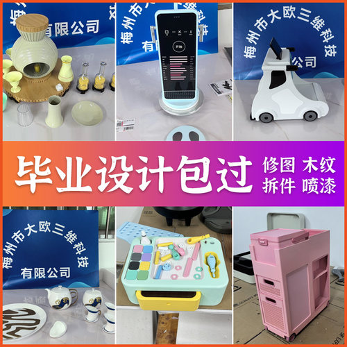 3d打印树脂尼龙喷漆毕设模型