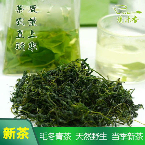 正宗毛冬青云南野生茶嫩叶嫩芽正品云南青山绿水新茶一级嫩芽半斤