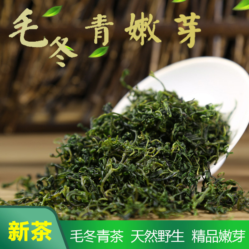 毛冬青茶叶云南野生毛冬青嫩芽青山绿水小叶苦丁精品嫩芽新茶一斤