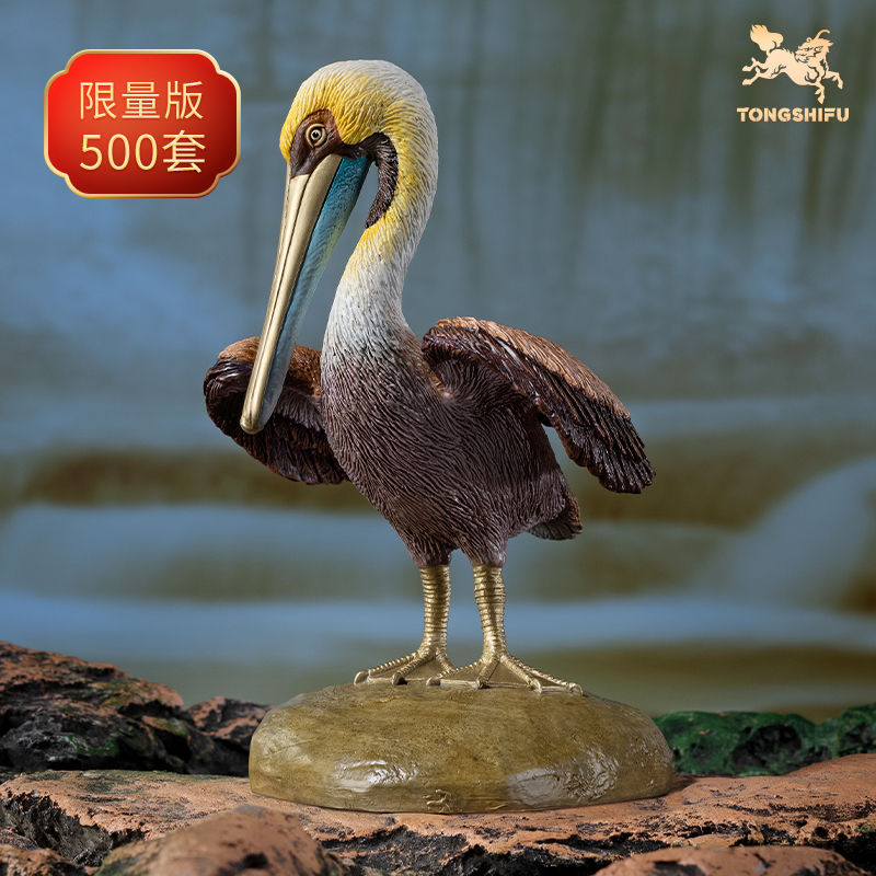 《铜师傅百鸟集》之褐鹈鹕