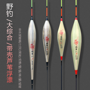 带壳芦苇浮漂高灵敏细尾加粗醒目鲫鱼鲤鱼草鱼枣核型行程底钓鱼漂