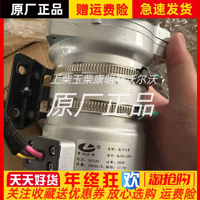 BLP43-428D杭州雷利电子水泵新能源汽车电机水泵功率300W 24V