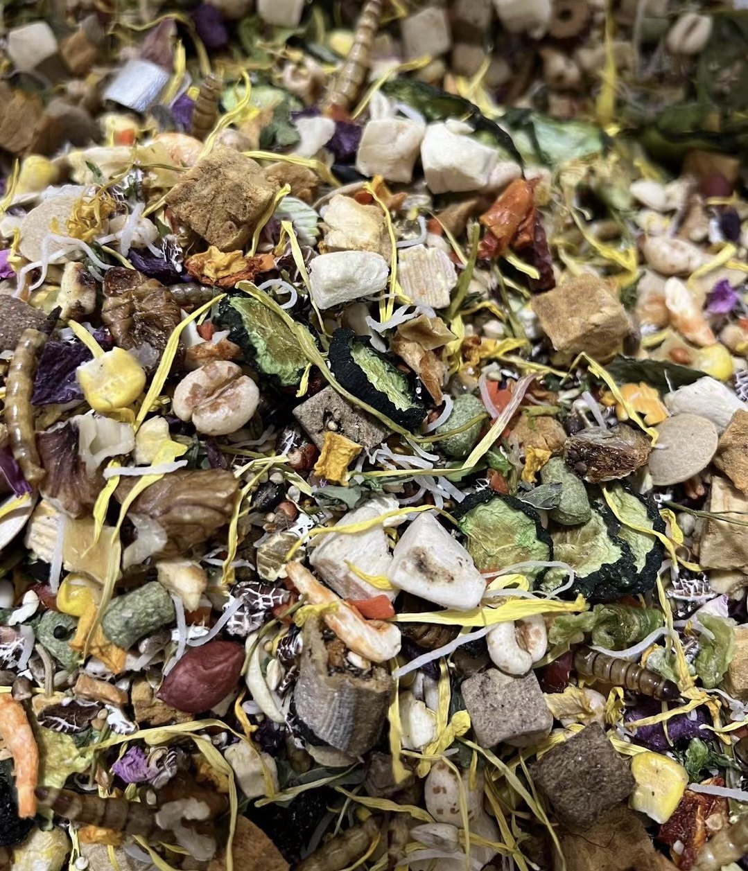 仓鼠粮主粮食饲料金丝熊食物 金丝熊粮宠物仓鼠用品海鲜粮400克,宠物/宠物食品及用品,鸟食,淘宝优惠券,粉丝福利购,淘宝优惠卷