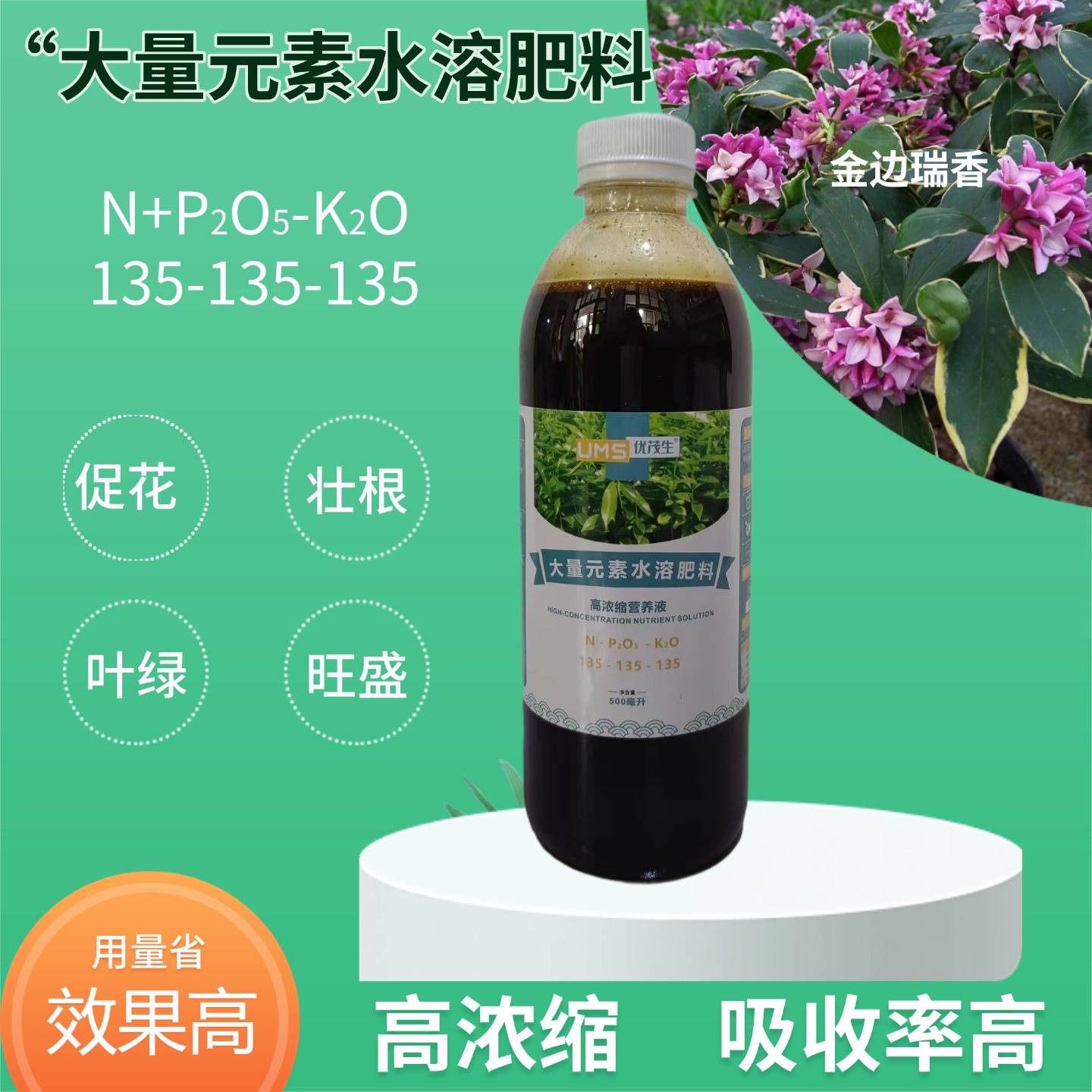 金边瑞香盆栽肥料大量元素水溶肥图片