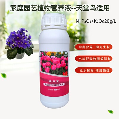 非洲堇非洲紫罗兰浓缩营养液室内阳台重瓣盆栽绿植通用水溶花肥料