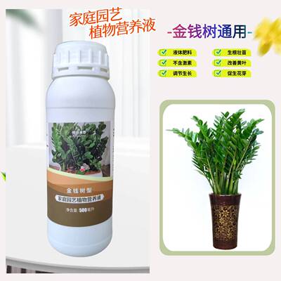 金钱树雪铁芋盆栽浓缩营养液肥料
