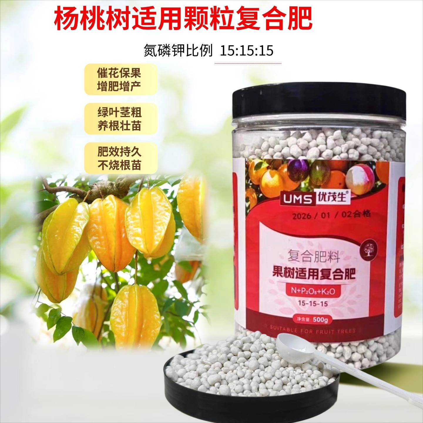 杨桃树三元复合肥庭院台湾甜杨桃盆地栽果树植物颗粒复合专用肥料图片