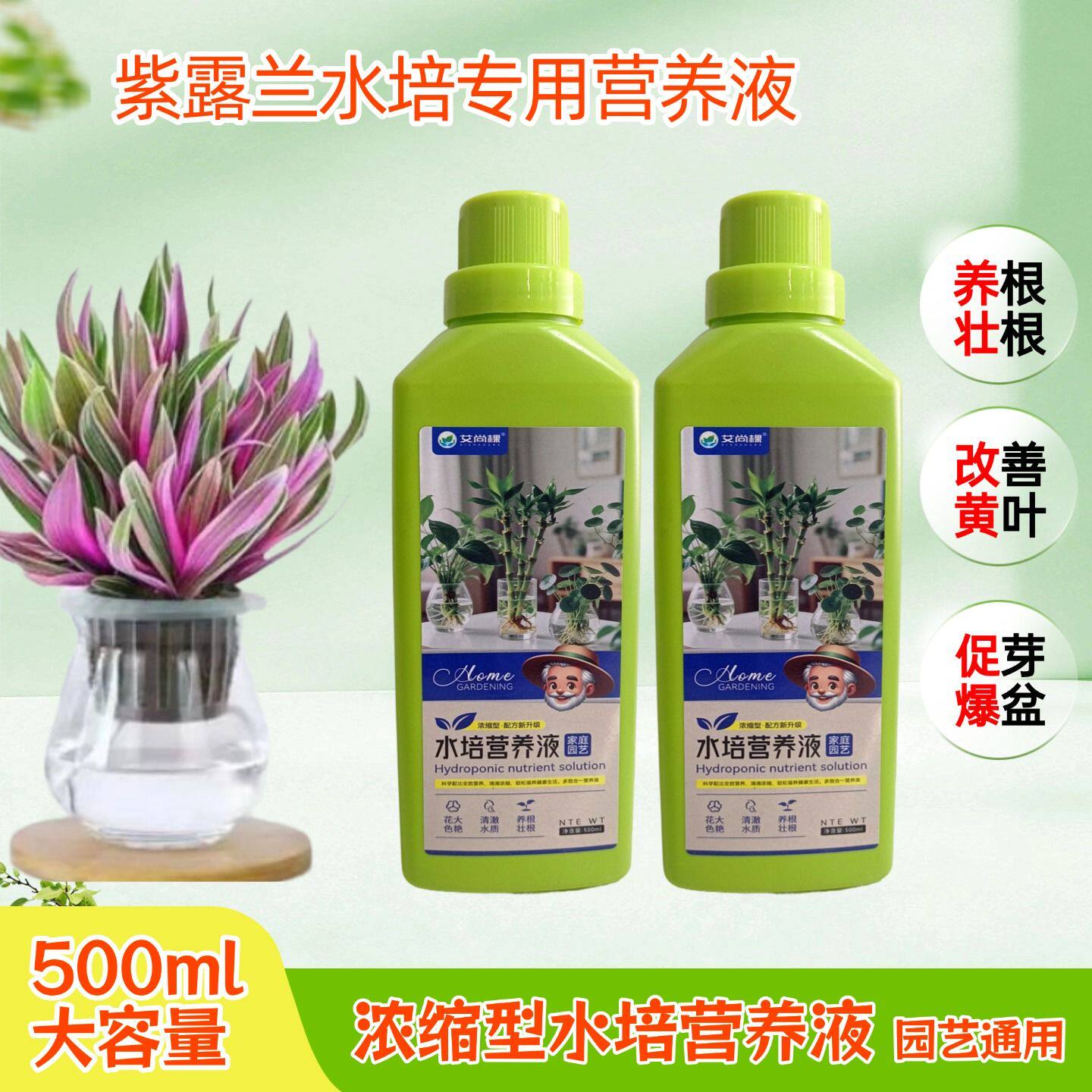 紫露兰水培植物专用营养液室内油画婚礼吊兰盆栽浓缩水溶花卉肥料