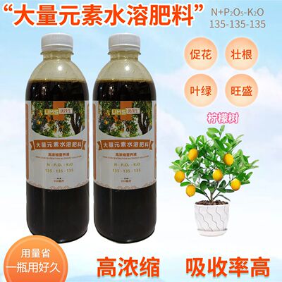 柠檬树浓缩营养液室内香水青柠盆栽果树植物专用大量元素水溶肥料