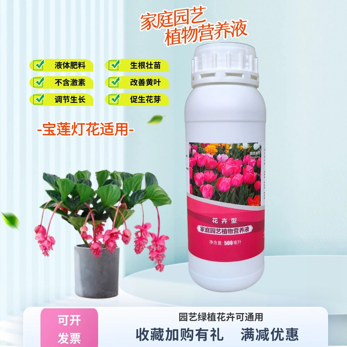 珍珠宝莲灯花盆栽浓缩营养液室内荷兰高档绿植氮磷钾水溶专用肥料图片
