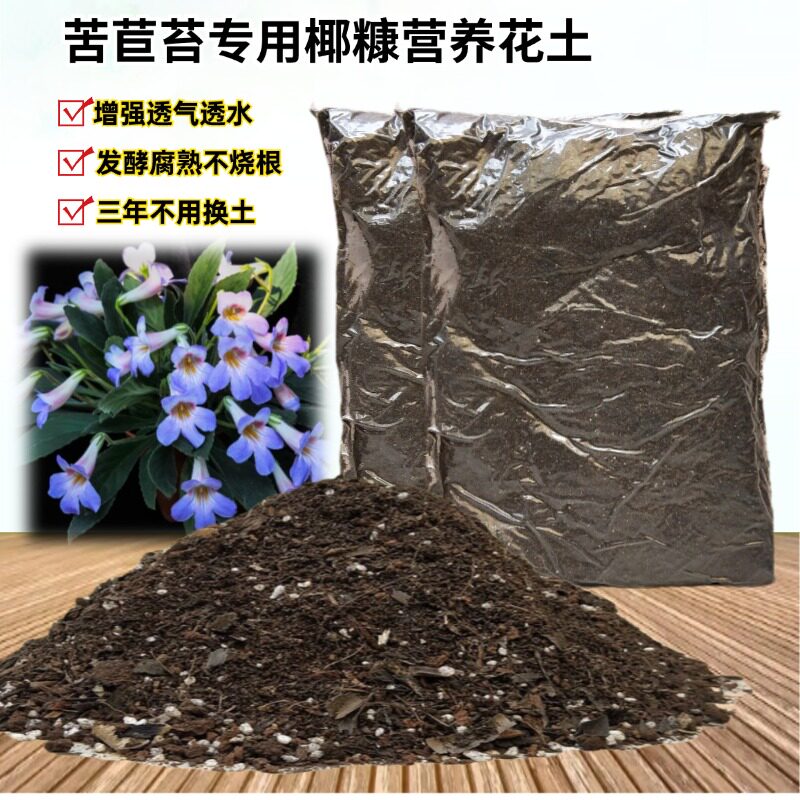 苦苣长筒花种植育苗肥沃椰砖土壤图片