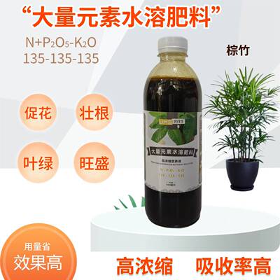 棕竹盆栽营养液大量元素水溶肥料