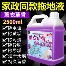 拖地专用清洁液持久留香瓷砖木地板砖清洁剂强力去污抛光无水印#