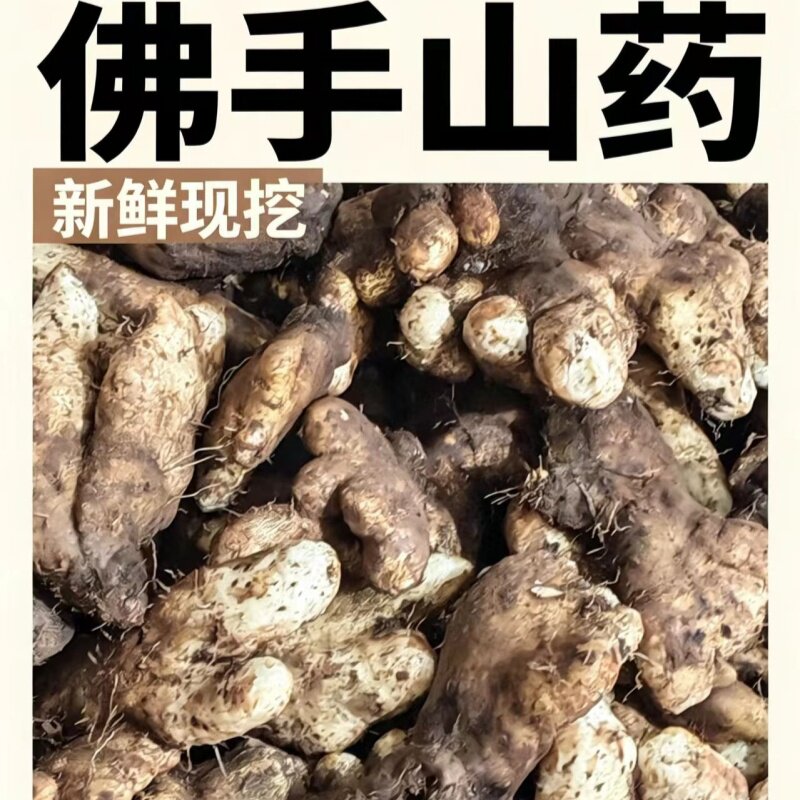 【新鲜现挖】四川佛手山药佛掌山药天然种植营养健康煲汤时令食材