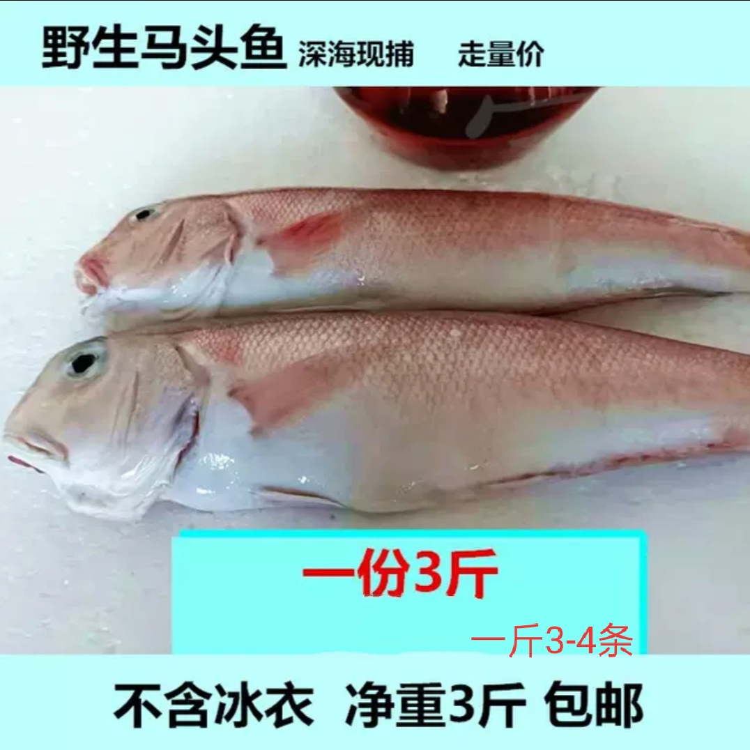 广东潮汕鲜活冷冻深海新鲜野海鱼 整条少刺3斤包邮生马头鱼方头鱼