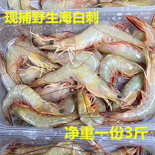 新鲜海水产大对虾白刺虾现捕新鲜急冻广东南海虾一斤20只3斤份