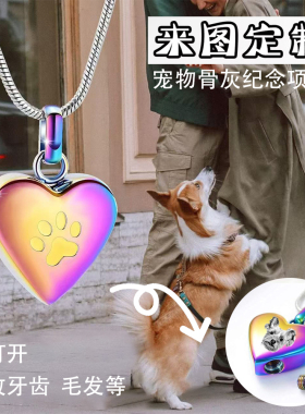 宠物毛发纪念定制吊坠爱心项链