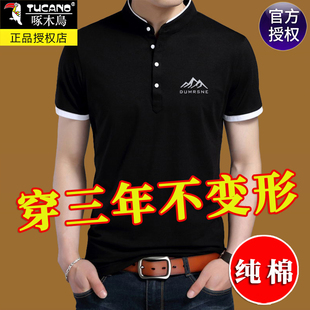 啄木鸟男士短袖t恤纯棉夏装2026潮流Polo衫冰感帅气立领薄款体桖