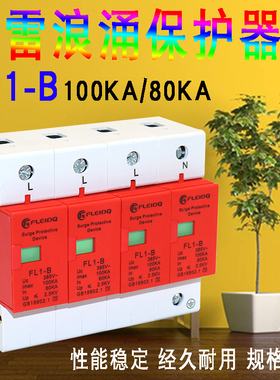 浪涌保护器100KA 80KA 2P家用220V电涌保护器 3P4P三相380V防雷器